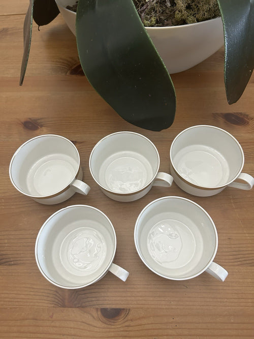 Langenthal Suisse Chateau Teacups – Set of 5 – White & Gold Band – Swiss Porcelain – Vintage