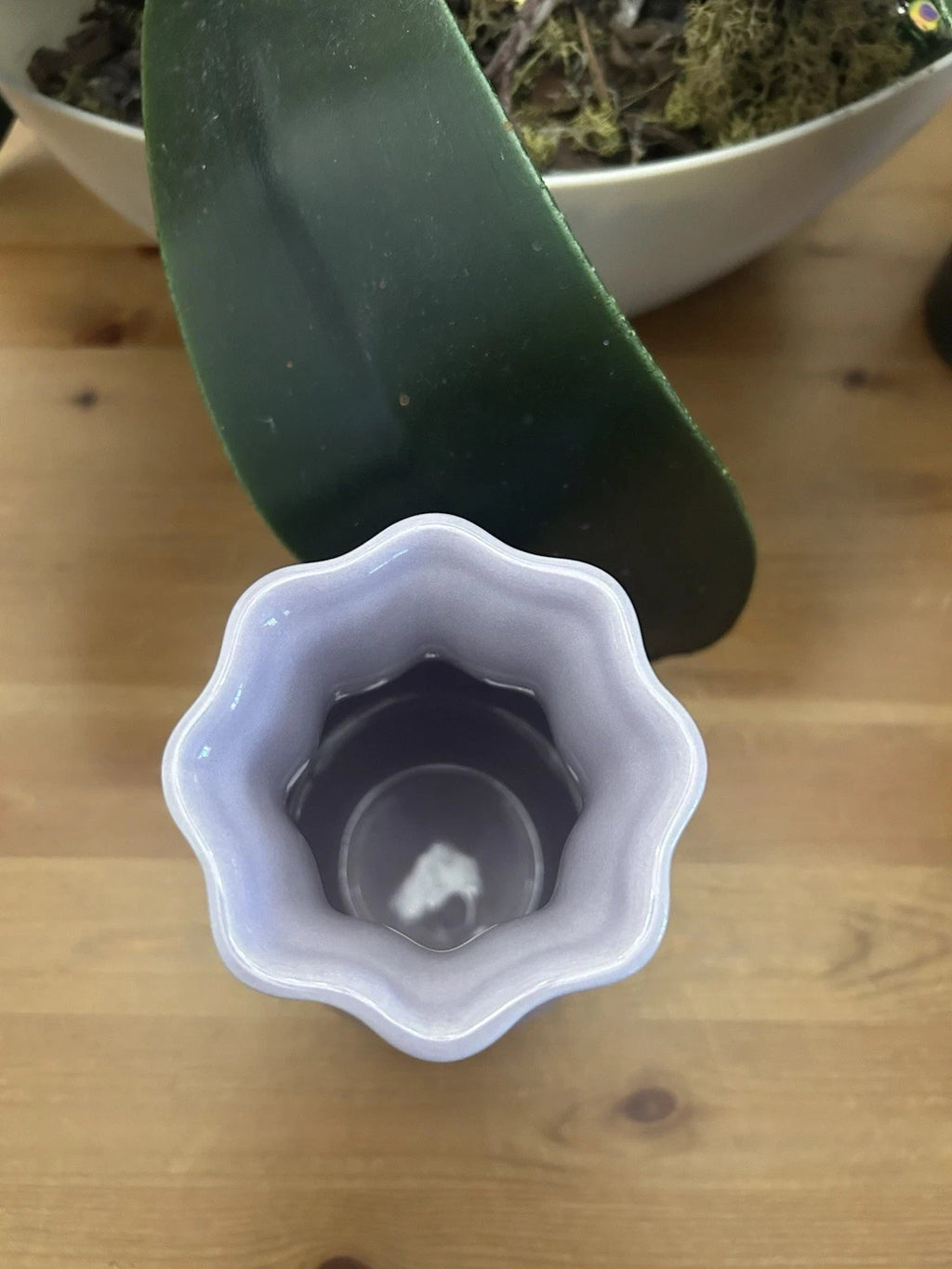 Le Creuset Purple Flower Vase 16cm – Glazed Stoneware – Brand New & Boxed