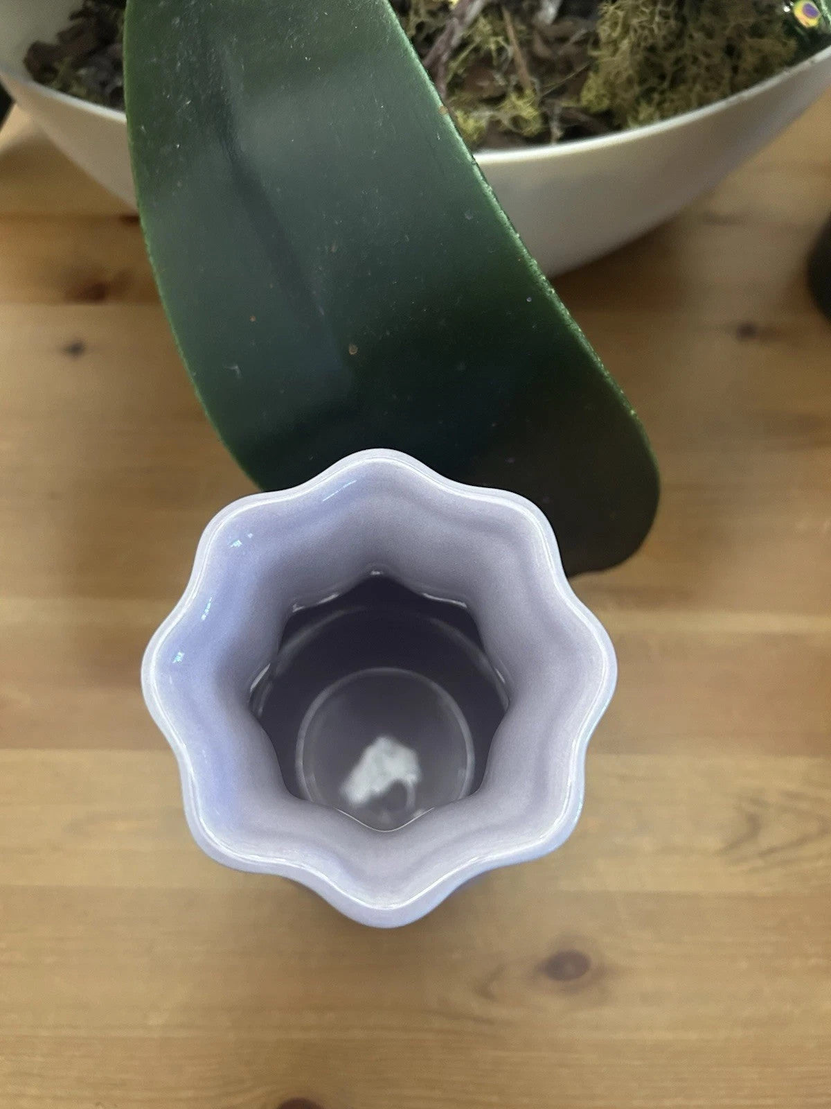 Le Creuset Purple Flower Vase 16cm – Glazed Stoneware – Brand New & Boxed