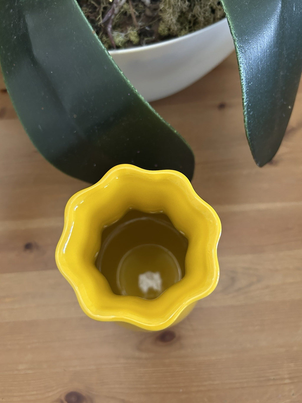 Le Creuset Nectar Flower Vase 16cm – Glazed Stoneware – Brand New & Boxed